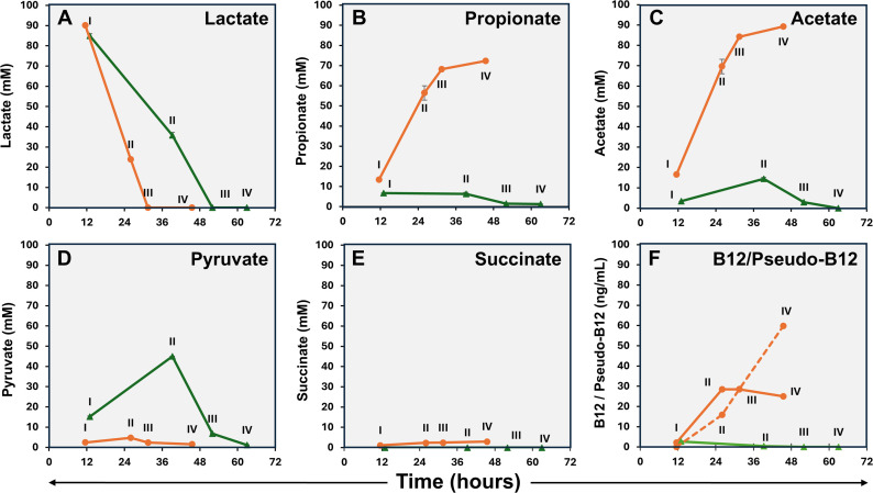 The line graphs illustrate the concentrations of lactate, propionate, acetate, pyruvate, succinate, and B12/Pseudo-B12 over 72 hours, highlighting significant metabolic shifts at specific time points.