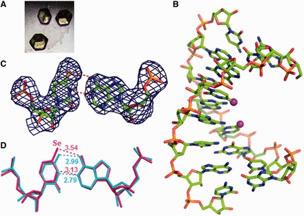 Figure 7.