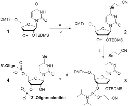 Scheme 1.