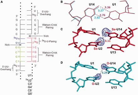 Figure 6.