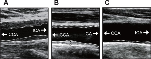 Fig. 5.