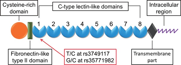 Fig. 1.