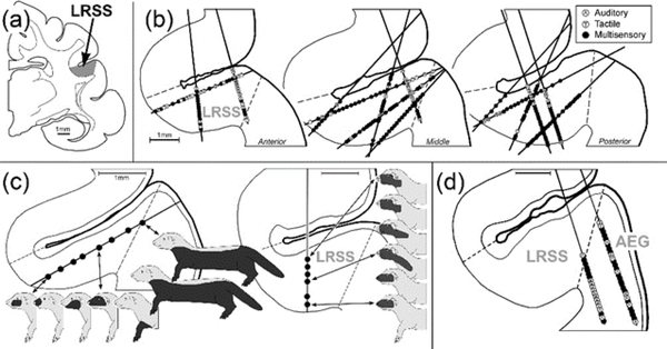 Figure 3: