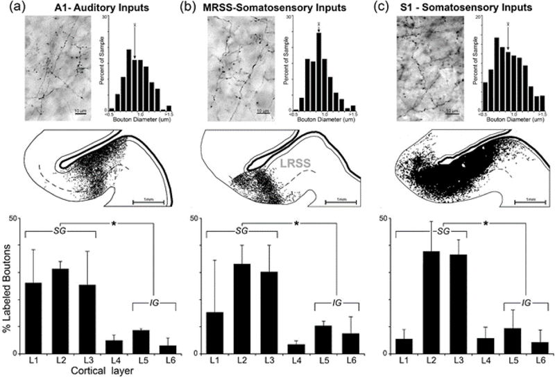 Figure 11.