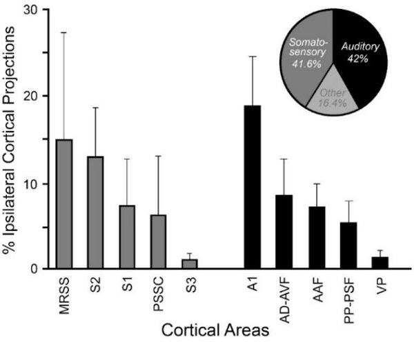 Figure 10.