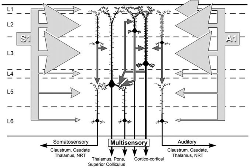 Figure 12.