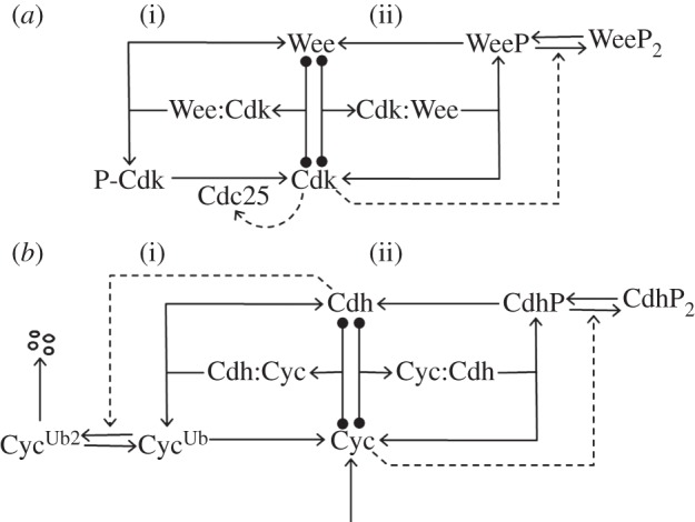 Figure 6.