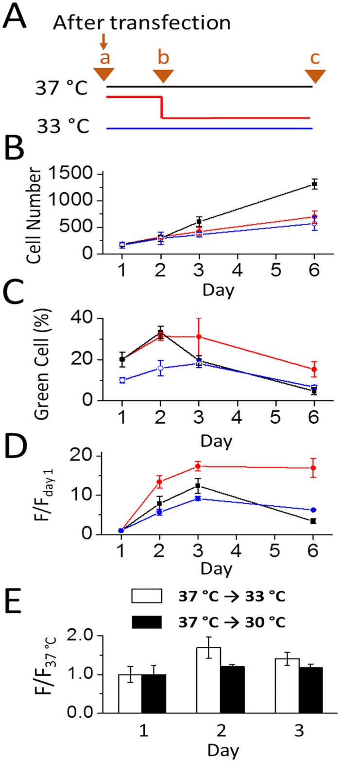 Fig 5