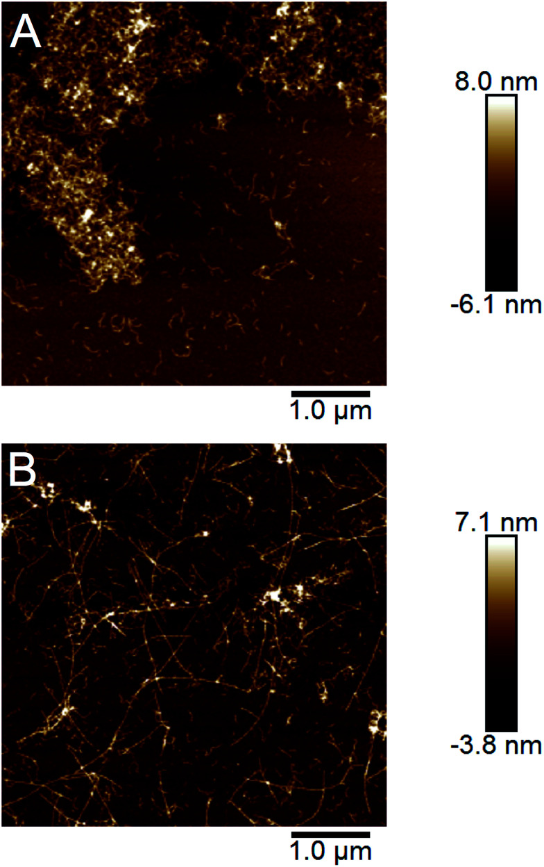 Fig. 7