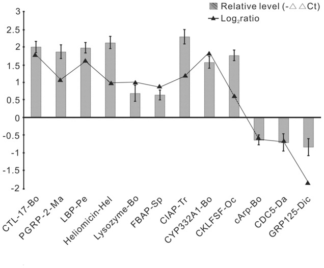 Figure 11