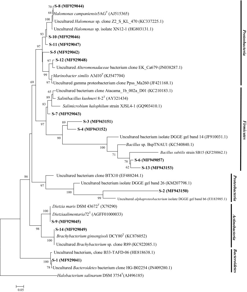 Fig. 8