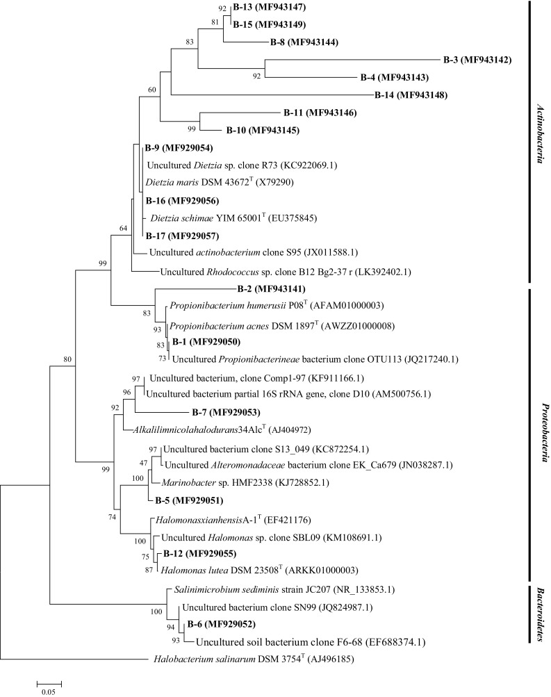 Fig. 9