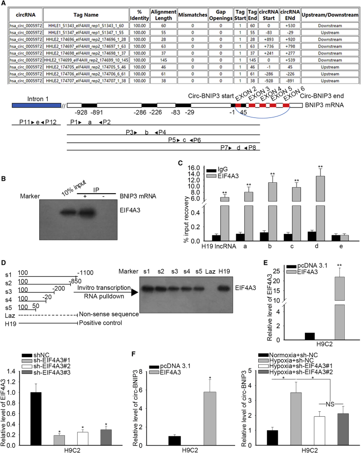 Figure 6