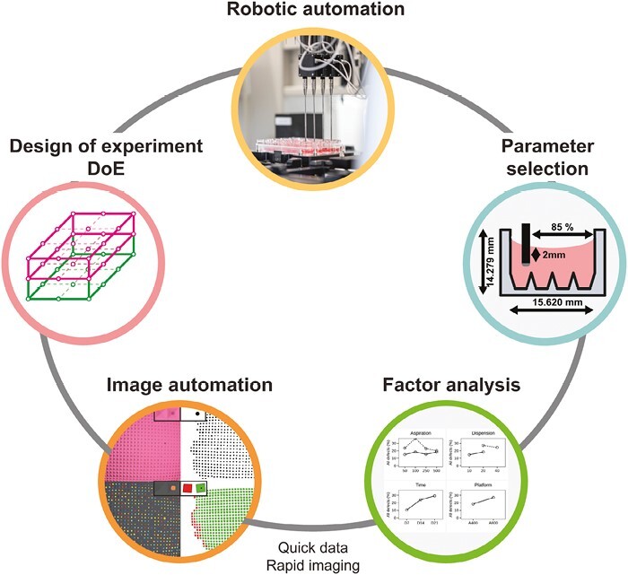 Graphical Abstract