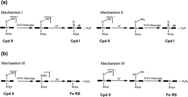 Scheme 1