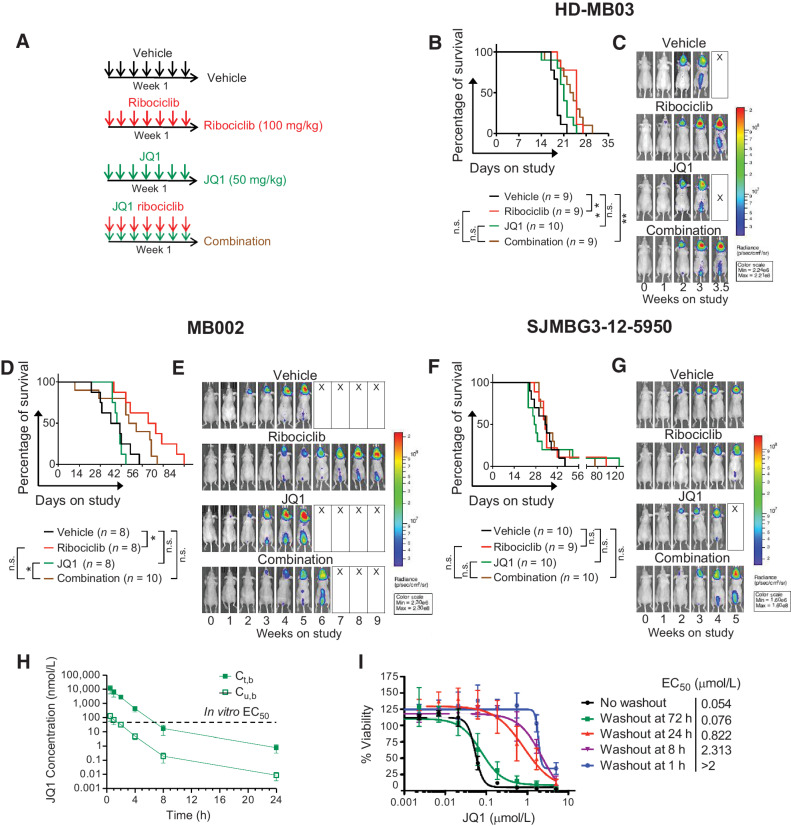 Figure 4. Treatment with ribociclib, JQ1, and combination in G3MB-bearing mice in vivo. A, Treatment schedule after enrollment. B–G, Mice bearing PDXs HD-MB03 (B and C) MB002 (D and E) or SJMBG3–12–5950 (F and G) tumor cells treated with vehicle (black lines), ribociclib (100 mg/kg, continuous daily by oral gavage, red lines), JQ1 [50 mg/kg, continuous daily intraperitoneal (IP), green lines], or the combination (brown lines) until moribund. B, D, and F, Kaplan–Meier survival plots for all treatment groups. Comparison between treatment groups using the log-rank test adjusted for multiple comparisons [not significant (n.s.), adjusted *, P ≤ 0.05 and adjusted **, P ≤ 0.01]. Median survival for HD-MB03–bearing mice in days: Vehicle: 19; ribociclib: 25; JQ1: 21; combination: 23.5; ribociclib versus vehicle: adjusted P = 0.0015. Median survival for MB002-bearing mice in days: vehicle: 38; ribociclib: 62.5; JQ1: 40; combination: 49.5; ribociclib versus vehicle treated: Adjusted P = 0.0203. Median survival for SJMBG3–12–5950–bearing mice in days: Vehicle: 33.5; ribociclib: 34.5; JQ1: 27.5; combination: 35. Mice were imaged twice weekly by bioluminescence imaging (BLI). C, E, and G, BLI pictures at different time points from enrollment through moribund stage represented for one mouse per treatment group. Mice were selected on the basis of tumor and spinal growth median behavior. For BLI signal curves see Supplementary Fig. S4. H, JQ1 pharmacokinetic study in non–tumor-bearing mice after a single dose of 50 mg/kg delivered via IP. Ct,b: total brain concentration; Cu,b: unbound brain concentration. Dashed line represents in vitro IC50 value of JQ1 in MB002 cells (the most sensitive model in vitro). I, JQ1 washout study. HD-MB03 cells treated with JQ1 and the cell medium removed and replaced with fresh medium at different time points after treatment. Viability evaluated after 7 days using CellTiter Glo (n = 3 and technical duplicate for each).