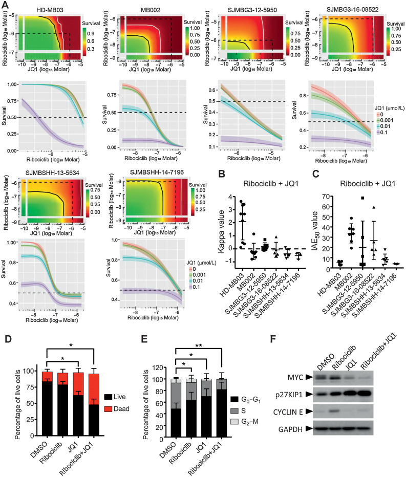 Figure 3. In vitro combination of ribociclib and JQ1. A–C, In 384-well plate format, HD-MB03, MB002, G3MB, and SHHMB PDXs treated with ribociclib and JQ1 in dose–responses for 7 days. Growth inhibition evaluated with CellTiter Glo. Bivariate Response to Additive Interacting Doses (BRAID) response surface model assessing the effect and efficacy of the combination. A, Representative response surface model (top) and JQ1 potentiation of ribociclib dose–response (bottom) shown for each model. The red and green color scales indicate low and high proliferation, respectively, relative to vehicle-treated cells. The dotted line encompasses the region in the response surface where each drug is ≤1 μmol/L and shown for reference. The black and white lines are the drug combination isoboles representing 50% and 90% inhibition of cell proliferation, respectively (top). Endpoints of these lines are driven by the potency of each drug as single agent. These lines will curve inward toward the origin for synergistic combinations and bow outward away from the origin for antagonistic combinations. B, Kappa values (n = 3–9), type of interaction between the two combined drugs. When kappa is close to zero, the combination is additive, whereas positive and negative values imply synergism and antagonism, respectively. C, IAE50 values (n = 3–9), measure of the efficacy at achieving 50% growth inhibition. BRAID data are available in Supplementary Table S1. D–F, HD-MB03 cells treated with DMSO, 5 μmol/L of ribociclib, 0.3 μmol/L of JQ1 or the combination for 72 hours. D, Dead and apoptotic cells stained with Annexin V-APC reagent and (E) DNA content analyzed on permeabilized nuclei using propidium iodide by flow cytometry. Statistical analyses performed on the percentage of AnnexinV positive cells (dead; D) and on the percentage of cells in G0–G1 in the cell cycle (E; Mann and Whitney test, n = 4 and n = 6, respectively). F, MYC, CYCLIN E, p27KIP1, and GAPDH expression analyzed by immunoblotting (n = 3).