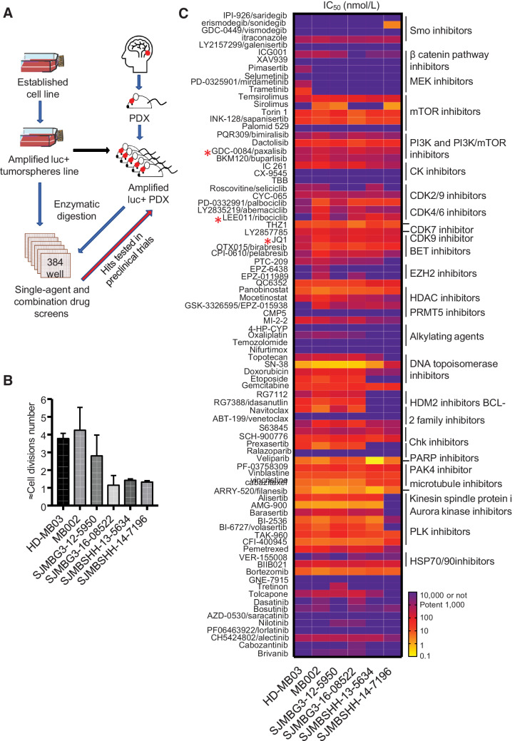 Figure 1. Drug screens using tumorspheres and fresh tumor cells from G3MB and SHHMB PDX. A, Drug-screening strategy using tumorspheres (HD-MB03) and fresh tumor cells dissociated from intracranial PDXs (MB002, SJMBG3–12–5950, SJMBG3–16–08522, SJMBSHH-13–5634, and SJMBSHH-14–7196). Synergistic and additive combinations tested in preclinical trials using G3MB and SHHMB PDX-bearing mice. B, Approximation of the number of cell divisions of untreated cells during 7 days of incubation in 384-well plates. CellTiter Glo reagent used on untreated cells on days 0 and 7. RLU fold change computed and log2 transformed. 1,000 cells per well density for all models (n = 3–7). C, The IC50 heatmap of the 87 drugs assayed as single agent in the different cell models after 7 days of treatment (n = 3 and technical duplicate or triplicate for each). * Compounds used in vivo identified with a red star. Raw data are presented in Supplementary Table S1.