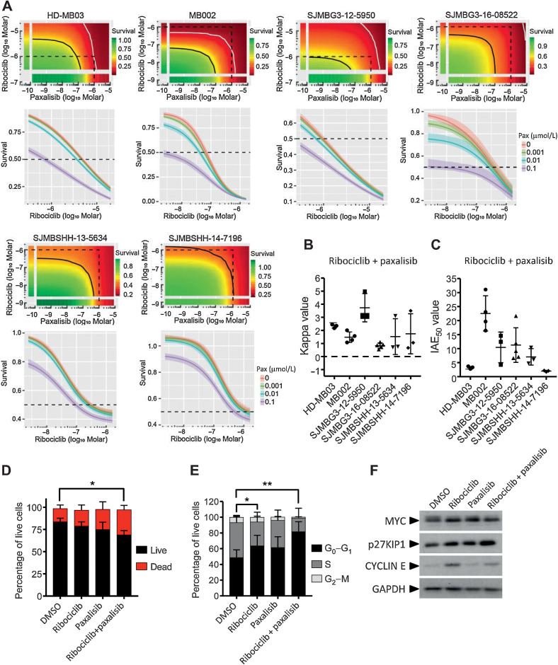 Figure 5. In vitro combination of ribociclib and paxalisib. A and B, In 384=well plate format, HD-MB03, MB002, G3MB, and SHHMB PDXs treated with ribociclib and paxalisib (GDC-0084) in dose–response curves for 7 days and growth inhibition evaluated using CellTiter Glo. Bivariate Response to Additive Interacting Doses (BRAID) response surface model assessed the effect and efficacy of the combination. A, Representative response surface model (top) and paxalisib potentiation of ribociclib dose response (bottom) shown for each model. The red and green color scales indicate low and high proliferation, respectively, relative to vehicle-treated cells. The dotted line encompasses the region in the response surface where each drug is ≤1 μmol/L and shown for reference. The black and white lines are the drug combination isoboles representing 50% and 90% inhibition of cell proliferation, respectively (top). Endpoints of these lines are driven by the potency of each drug as single agent. These lines will curve inward toward the origin for synergistic combinations and bow outward away from the origin for antagonistic combinations. Note: HD-MB03 cells were more sensitive to ribociclib in this assay due to change in cell density (500 vs. 1,000 cells/well). B, Kappa values (n = 3–5), type of interaction between the two combined drugs. When kappa is close to zero, the combination is additive, whereas positive and negative values imply synergism and antagonism, respectively. C, IAE50 values (n = 3–5), measure of the efficacy at achieving 50% growth inhibition. BRAID data are available in Supplementary Table S1. D–F, HD-MB03 cells treated with DMSO, 5 μmol/L of ribociclib, 0.5 μmol/L of paxalisib or the combination for 72 hours. D, Dead and apoptotic cells stained with Annexin V-APC reagent and (E) DNA content analyzed on permeabilized nuclei using propidium iodide by flow cytometry. Statistical analyses were performed on the percentage of AnnexinV positive cells (D) and on the percentage of cells in G0–G1 of the cell cycle (E; Mann and Whitney test, n = 4 and n = 6, respectively). Note: DMSO and ribociclib conditions for D and E were presented in Supplementary Fig. S3. F, MYC, CYCLIN E, p27KIP1, and GAPDH expression analyzed by western blot (n = 3).