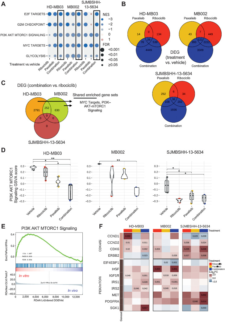 Figure 7. Gene expression analysis of tumors treated with ribociclib and paxalisib. RNAs from HD-MB03, MB002, and SJMBSHH-13–5634 tumors, from the preclinical studies presented on Fig. 6, were sequenced. Gene set enrichment analysis (GSEA) and differential expressed gene (DEG) analysis performed between tumors treated with ribociclib, paxalisib or combination versus vehicle. A, Plot showing the Normalized Enrichment Score (NES, circles in color) and FDR (circles size) of the gene sets found to be significantly depleted in each of the three medulloblastoma models when comparing combination versus vehicle-treated tumors (black boxes). Other comparisons include ribociclib or paxalisib versus vehicle-treated tumors. GSEA data are presented in Supplementary Table S4. B, Venn diagram of DEGs between each treatment (ribociclib-only, paxalisib-only, and the combination) and vehicle for each model (FDR < 0.05). C, Venn diagram of DEGs between combination and ribociclib-treated tumors in each model. Enriched gene set term analysis of HD-MB02 and MB002 models DEGs, run separately, showed two shared gene sets, including MYC Targets and PI3K–AKT–MTORC1 signaling. Data are presented in Supplementary Tables S5 and S6. D, Multiple pairwise comparison of PI3K–AKT–MTORC1 signaling pathway between treatments for each medulloblastoma model. Gene set variation scores of PI3K–AKT–MTORC1 pathway genes calculated for each sample and compared with a Kruskal–Wallis test, followed by a post hoc Dunn test. Only significant FDR adjusted P comparisons are shown (*, P < 0.05; **, P < 0.01). E, GSEA of PI3K–AKT–MTORC1 signaling with HD-MB03 cell line (in vitro) and HD-MB03 vehicle treated tumors (in vivo). F, Heatmap with log2 fold change (log2FC) between ribociclib, paxalisib or combination versus the vehicle group for genes known to be involved in resistance to CDK4/6 and PI3K/mTOR inhibitors. Adjusted P values are indicated for significant DEGs.