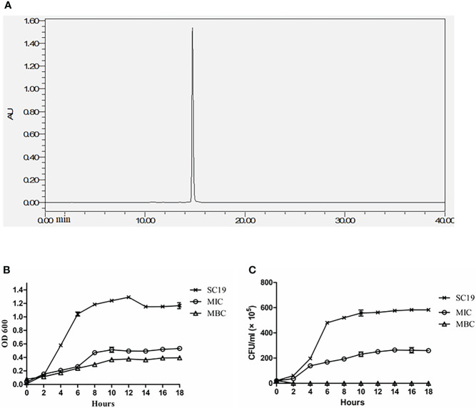 Figure 1