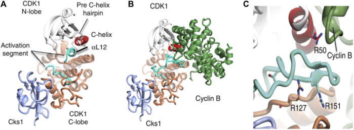 FIGURE 1