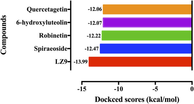 FIGURE 3