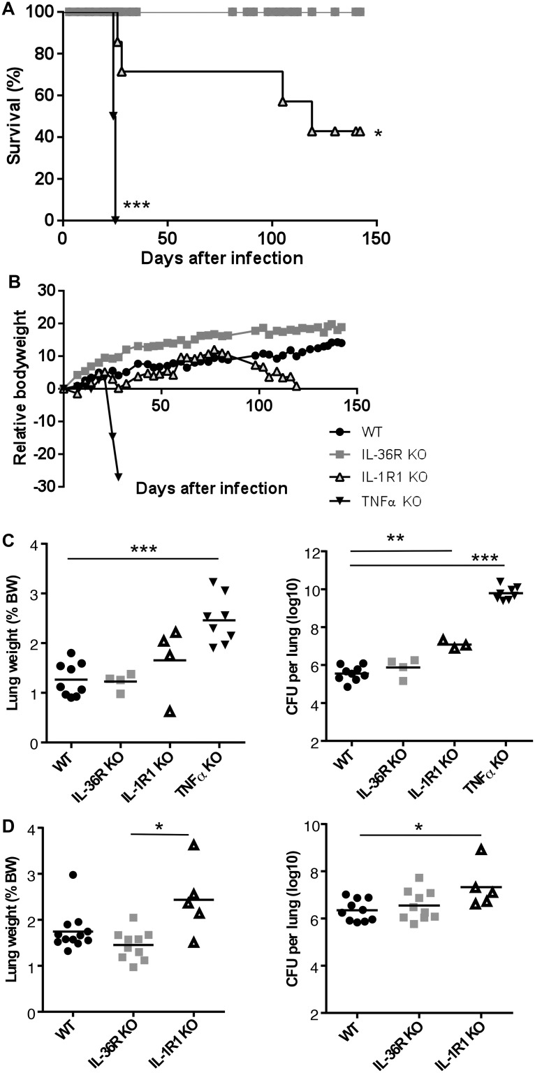 Fig 8