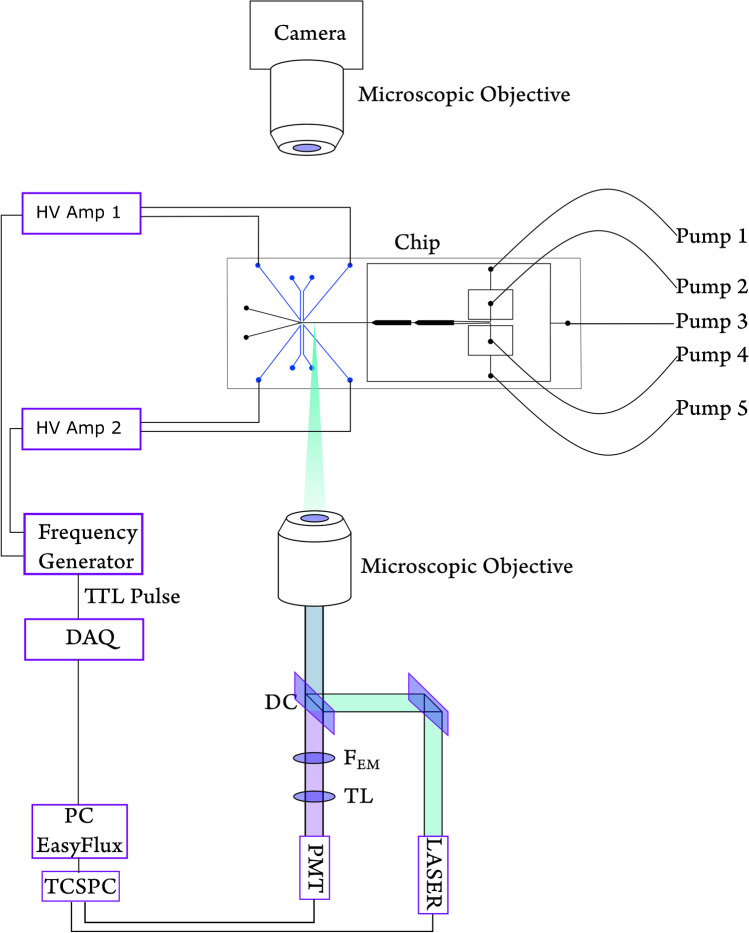 Fig. 2