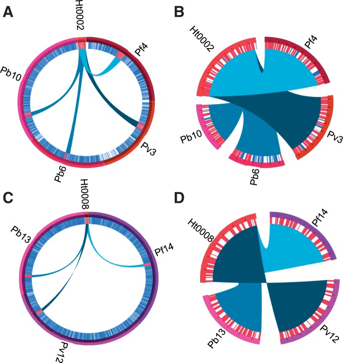 Fig. 2.—