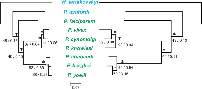 Fig. 4.—