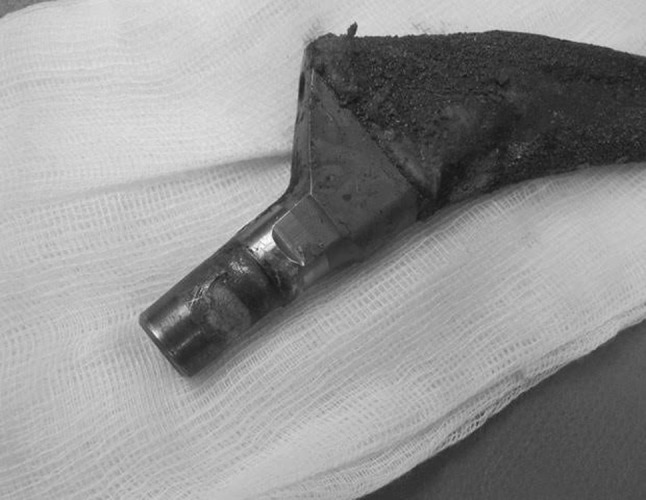 Fig. 3