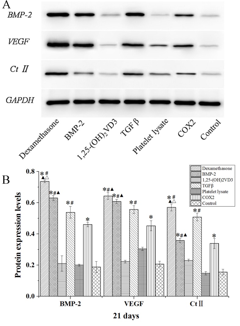 Figure 10.