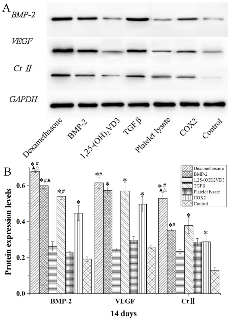 Figure 9.