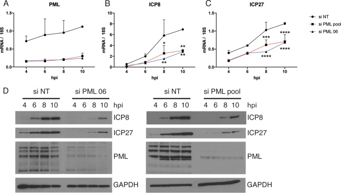 FIG 6