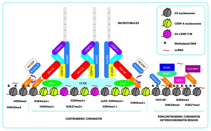 graphic file with name epi-7-3-g1.jpg