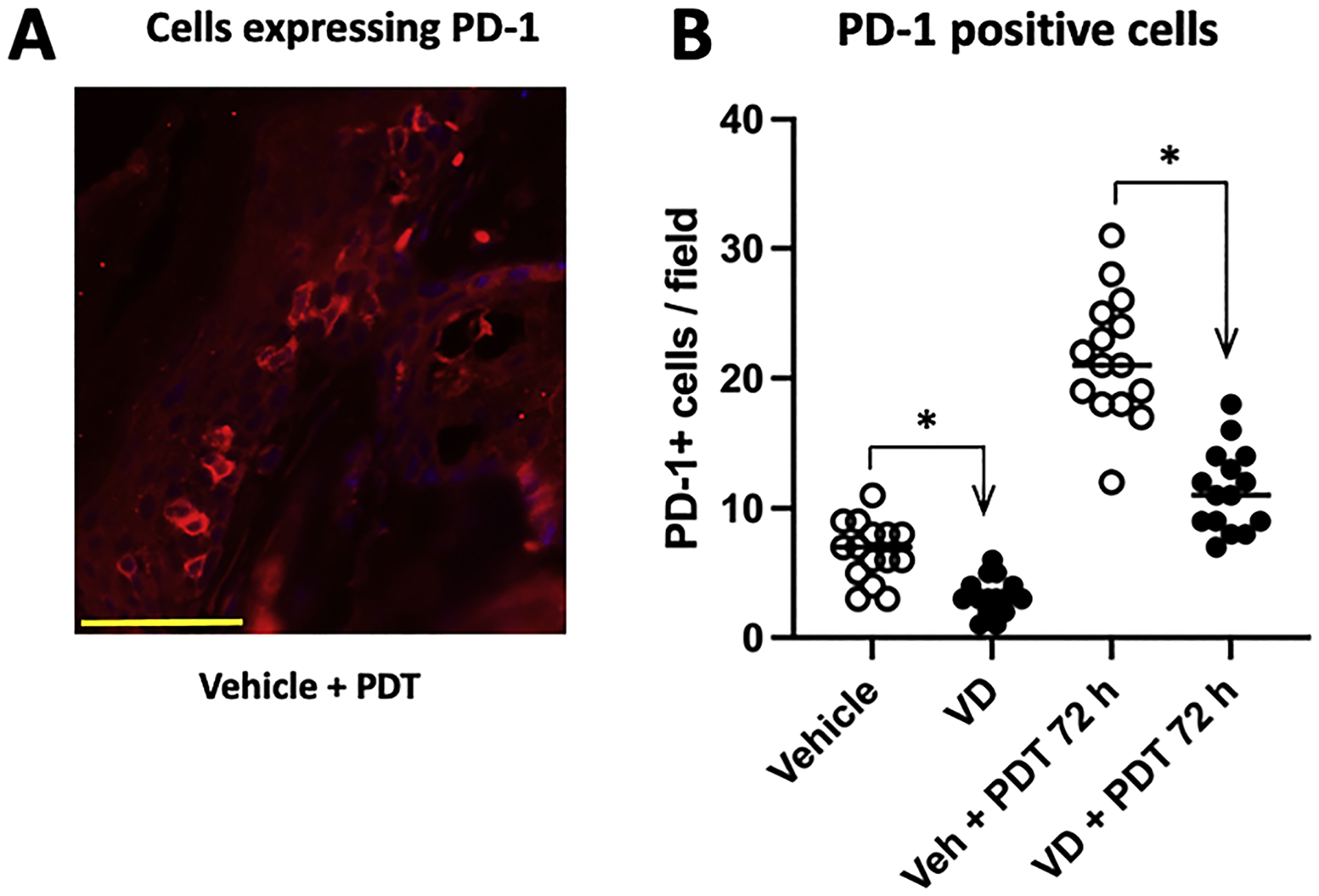 Fig. 7.