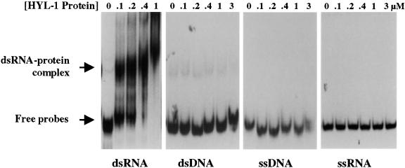 Figure 10.