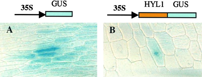 Figure 9.