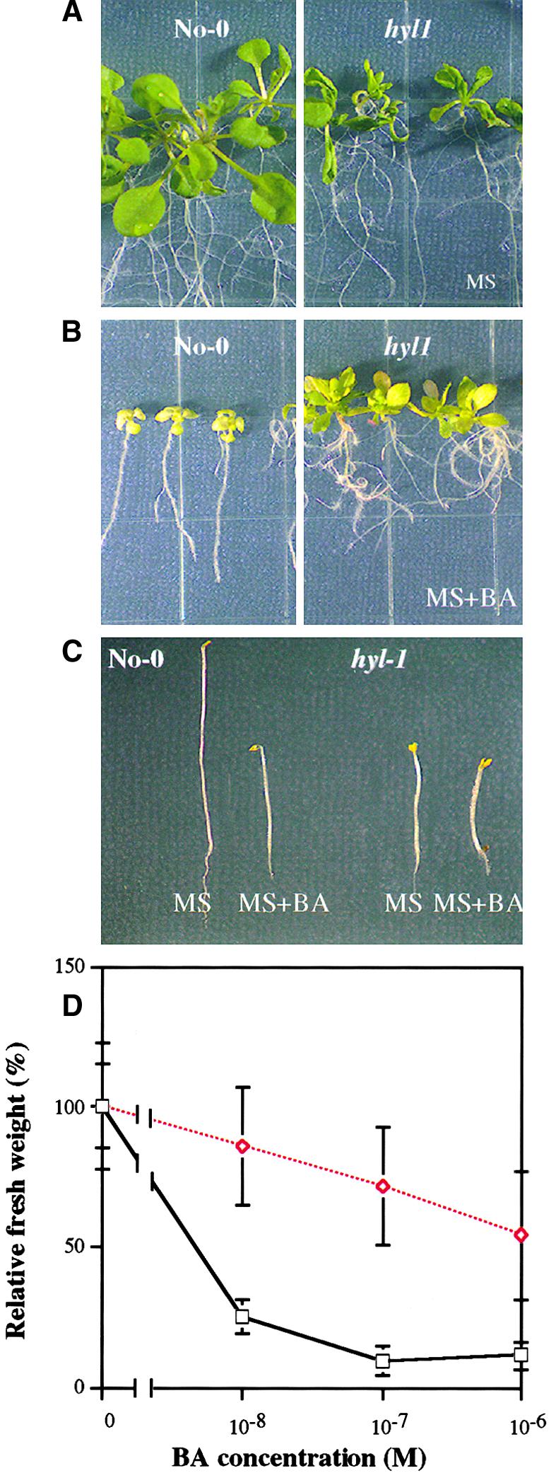 Figure 6.