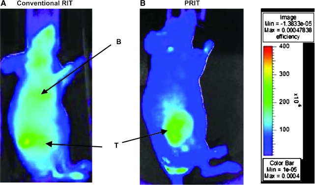 FIG. 4.