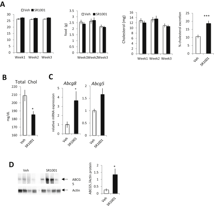 Figure 5