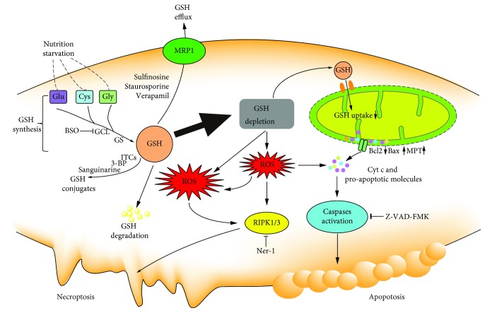 Figure 6