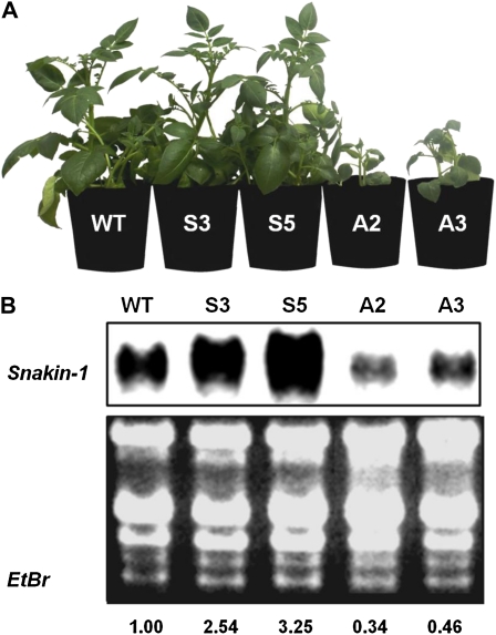 Figure 1.