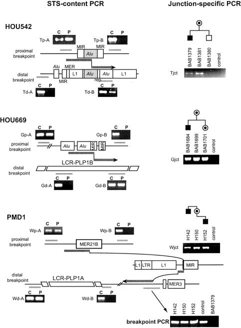 Figure  5