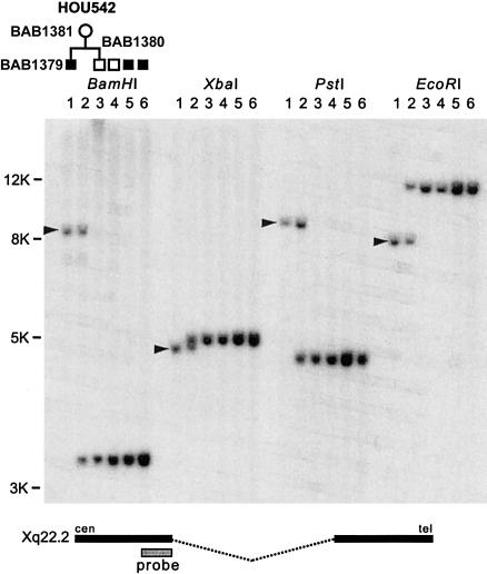 Figure  2