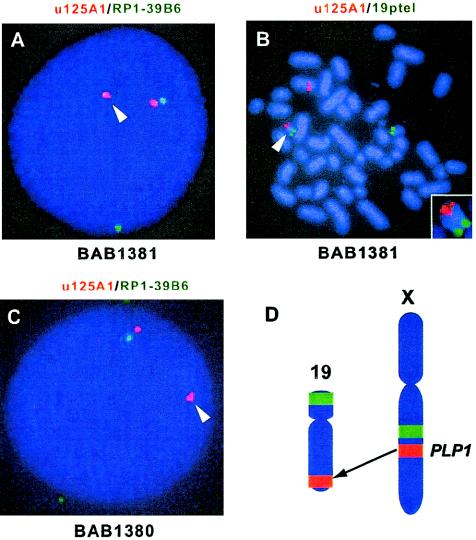 Figure  3