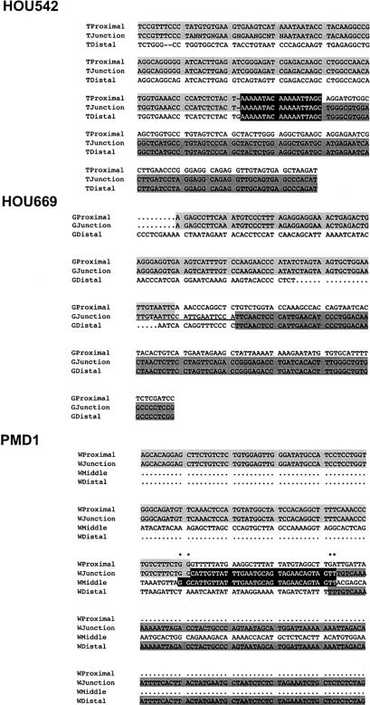 Figure  6