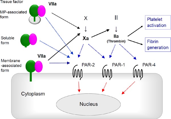 Fig. 3.