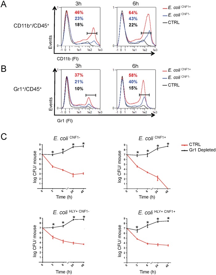 Fig 6